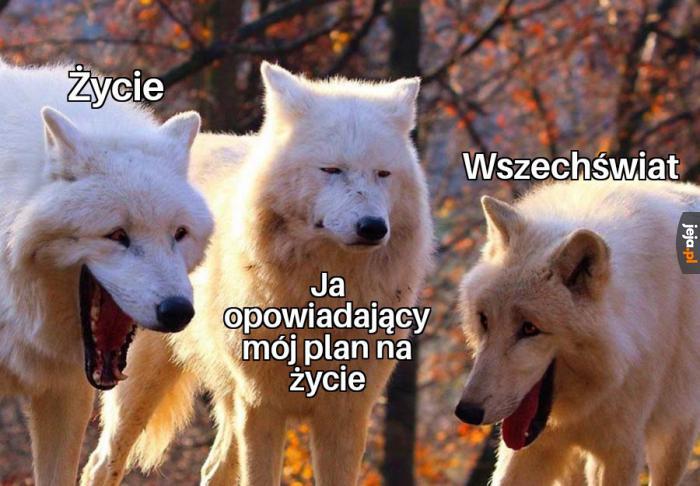 Śmieszny żart, nie powiem