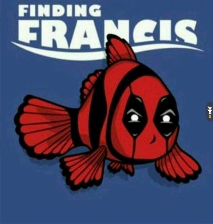 Gdzie jest Francis