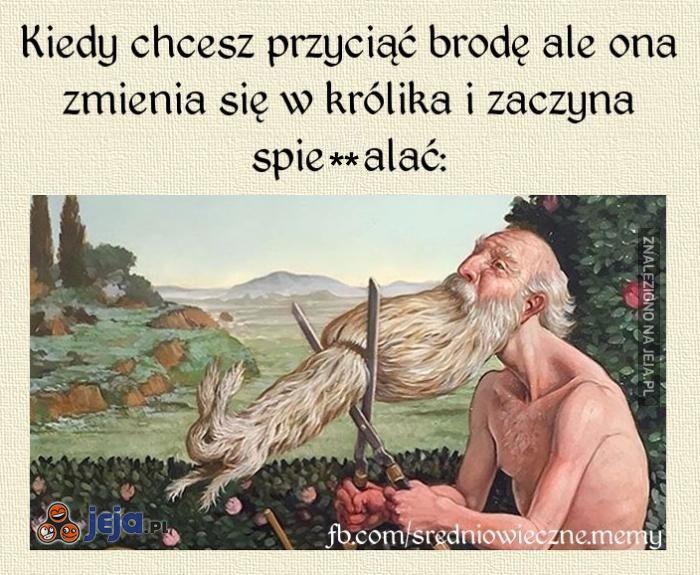 Przycinanie brody