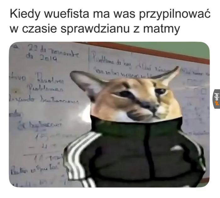 "Tak, pani pozwala korzystać z telefonów"