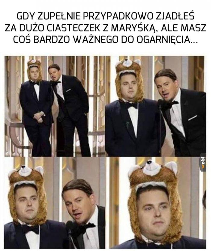 Stary, dlaczego tu jest tyle tęczowych jednorożków?
