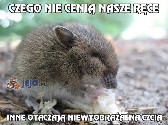 Czego nie cenią nasze ręce