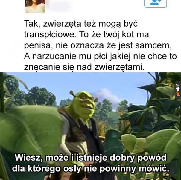 Zacznijmy od tego, kto do diabła narzuca zwierzętom płeć?