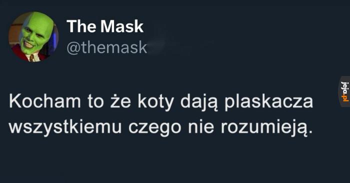 Kontrolny plaskacz łapką
