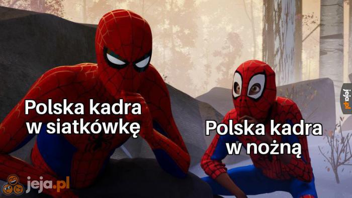 Polski sport w skrócie