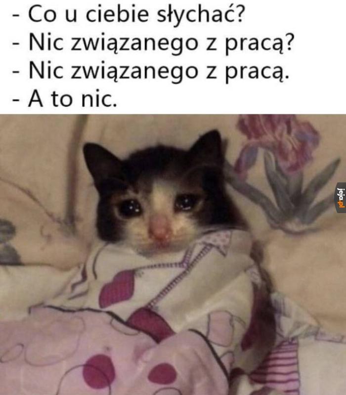 Pić, jeść, spać
