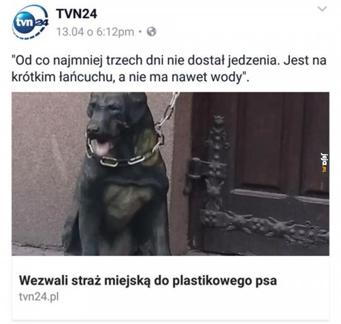 Konieczna była interwencja