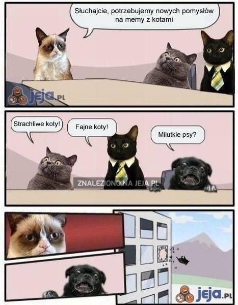 Memy z kotkami