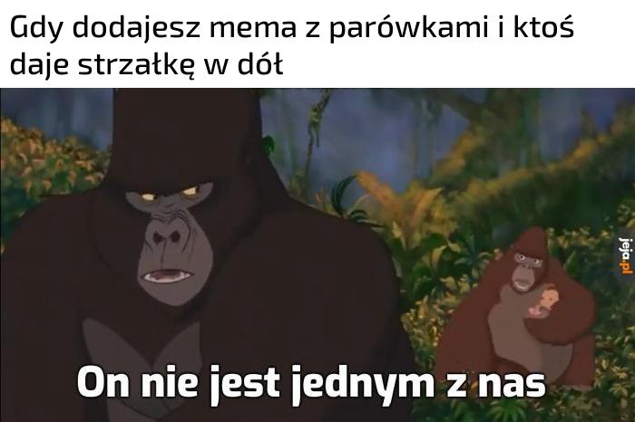Wypuścić kota Bożydara!