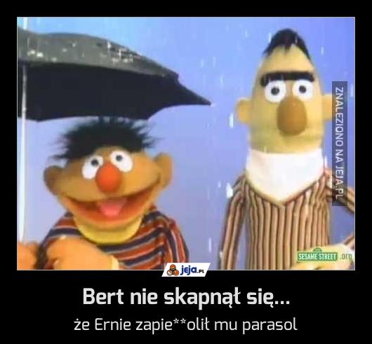 Bert nie skapnął się...