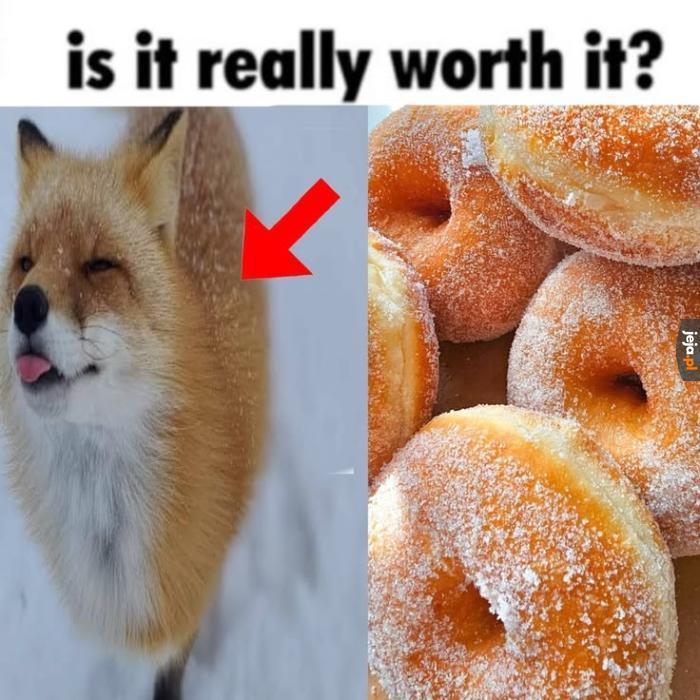 Wiesz co jesz?