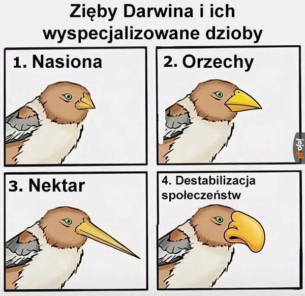 Cenna lekcja
