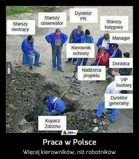 Praca w Polsce