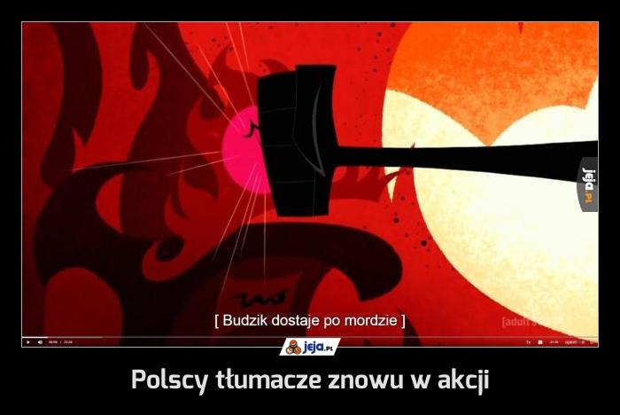 Polscy tłumacze znowu w akcji