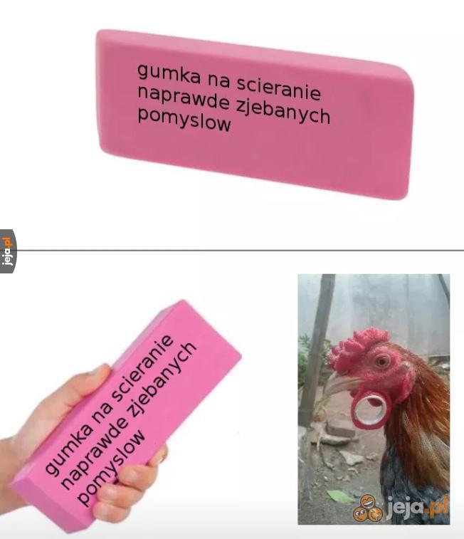 Kogut z tunelem? Serio?