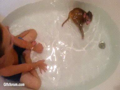 Kąpiel z małpką