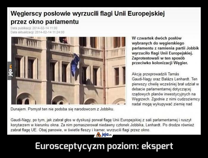 Eurosceptycyzm poziom: ekspert