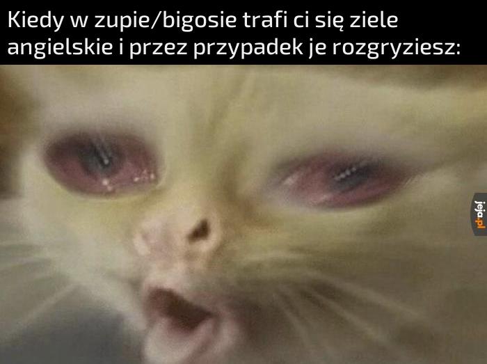 Aaaaaaaa!!!