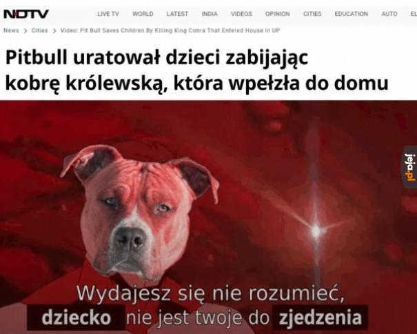 Ustaw się w kolejce