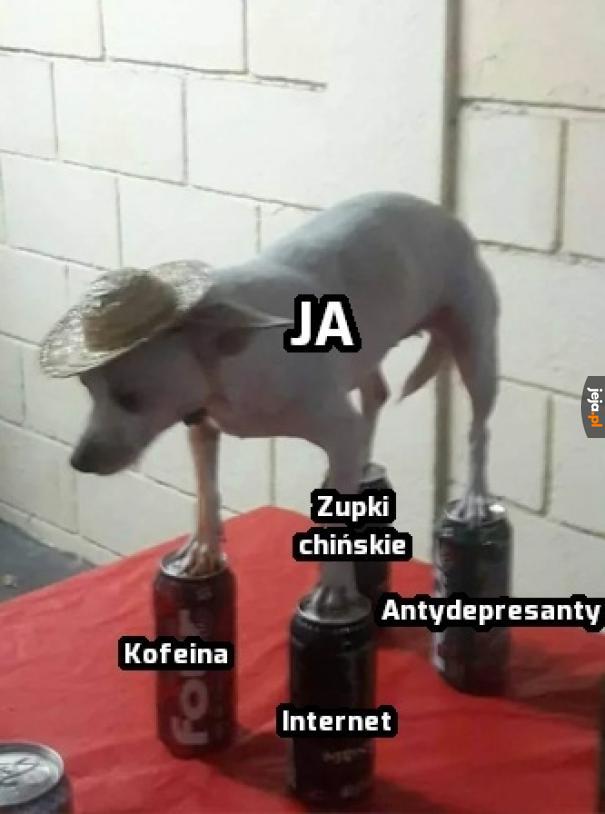 Jetem w 100% funkcjonalną społecznie jednostką ;)