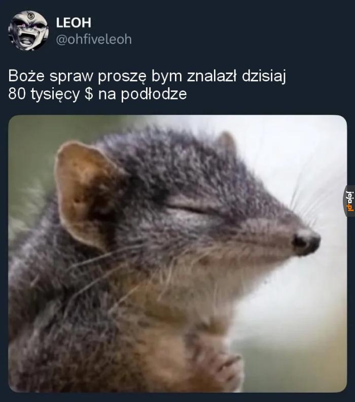 Może posłucha