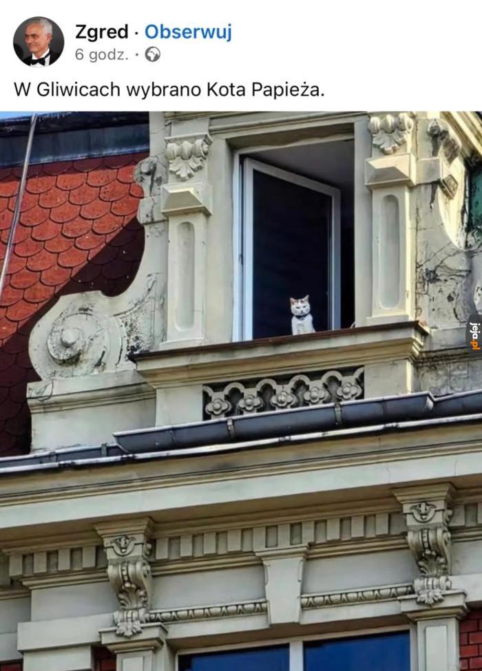 W końcu ktoś zrobi tam porządek