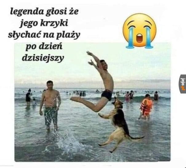 Legendarny wrzask