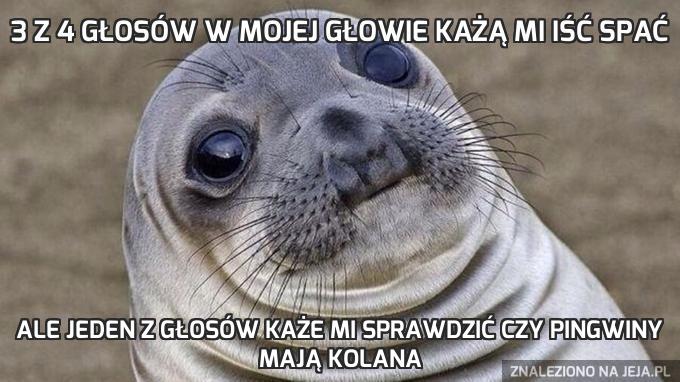 3 z 4 głosów w mojej głowie każą mi iść spać