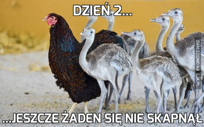 Dzień 2...