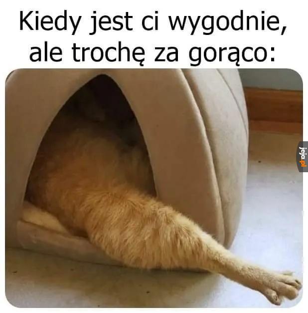 Trzeba wystawić nogę