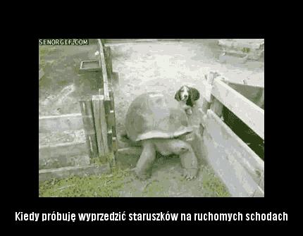 Staruszki na ruchomych schodach