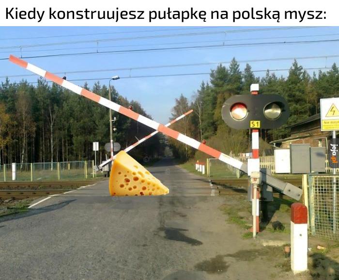 Świetny sposób