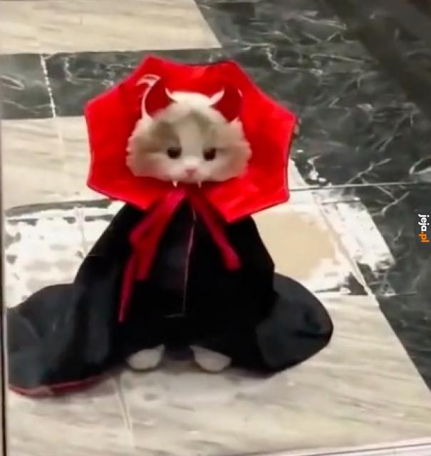 Terror