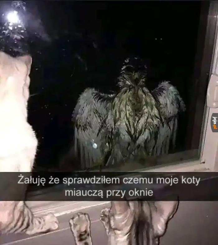 Dzwonię po egzorcystę