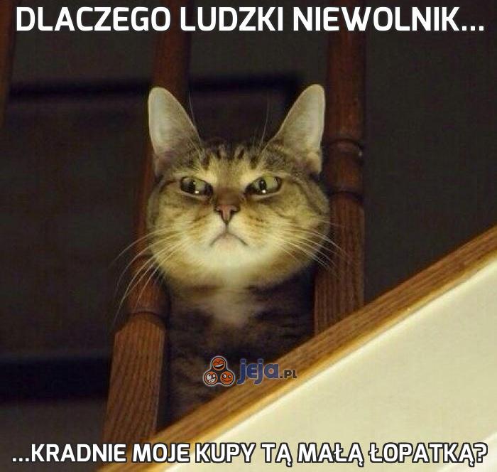 Dlaczego ludzki niewolnik...