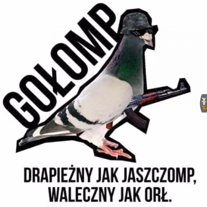Strzeż się ataku z niebios