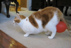 Przylepiony balon