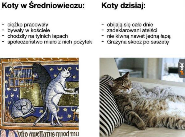 Koty dawniej i dziś