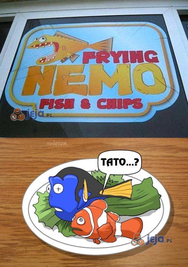 Ciekawe gdzie jest Nemo...