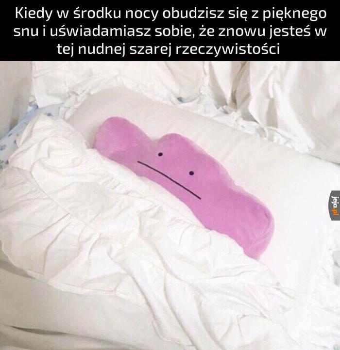 Może jak znowu zasnę to będzie dalszy ciąg...
