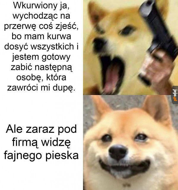 No co za słodziak!