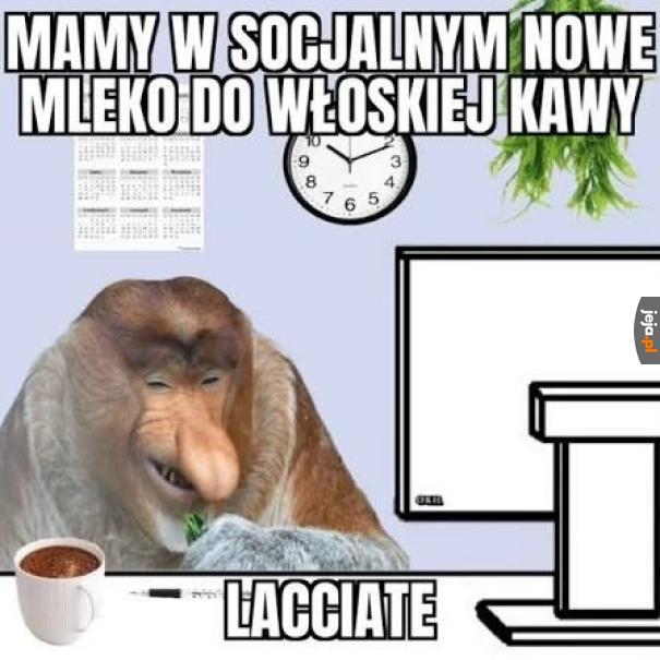 Idealny znawca kawy