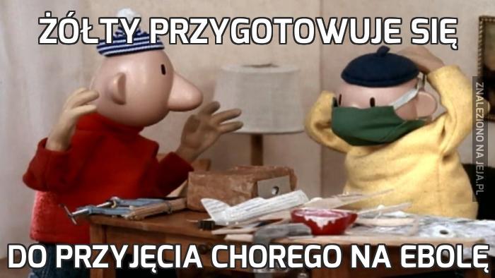 Żółty przygotowuje się