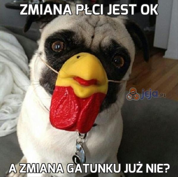 Zmiana płci jest ok