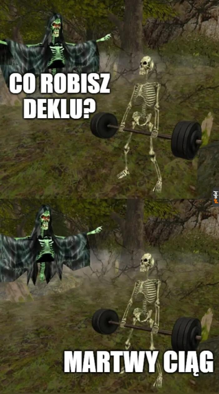 Szkielet