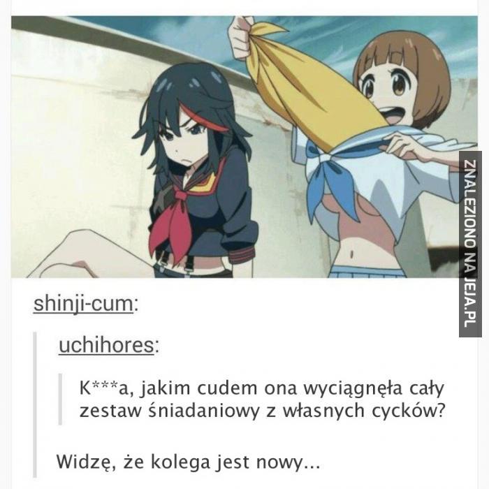 Witaj w internetach, witaj w anime!