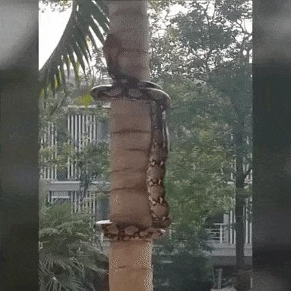Nie jesteś bezpieczny nigdzie
