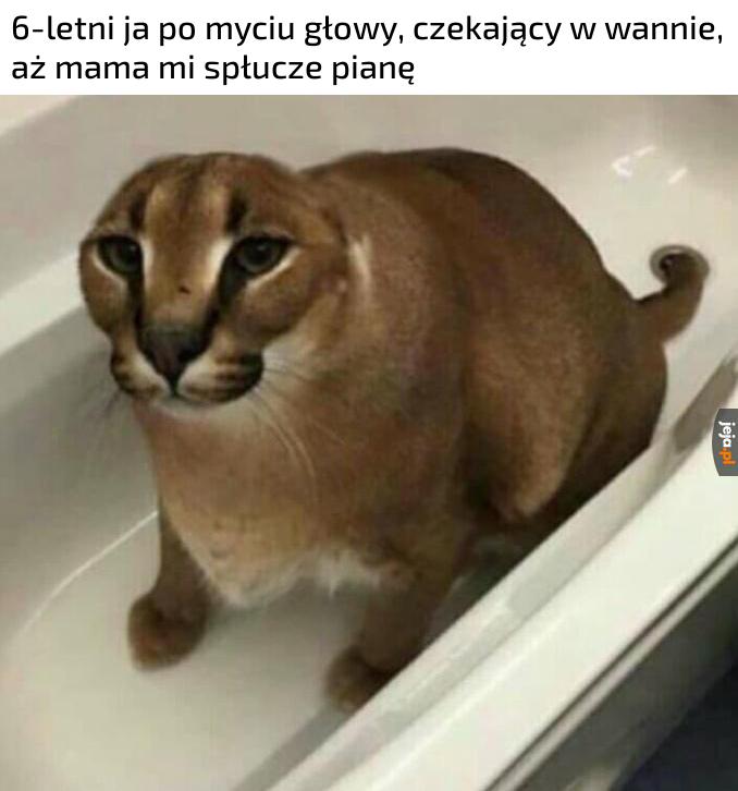 Grzeczny i czyściutki