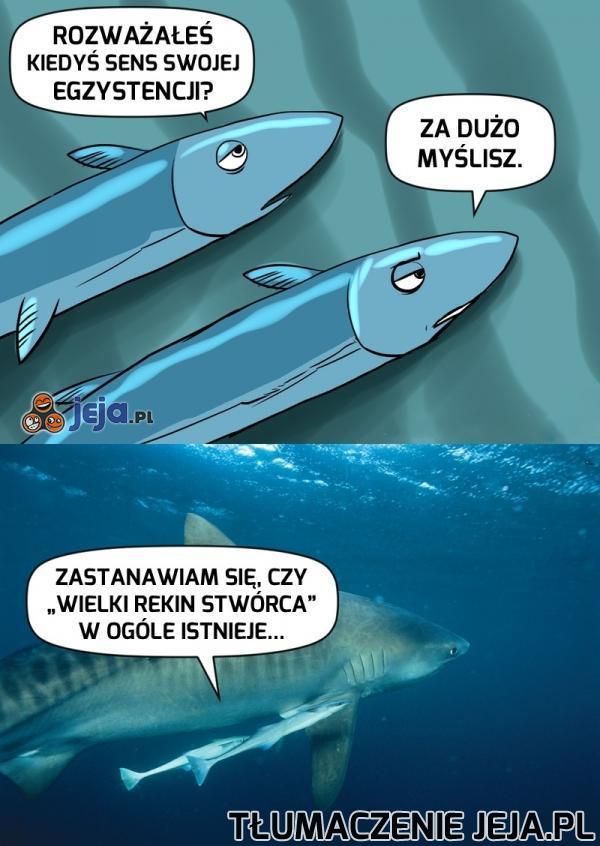 Kryzys egzystencjalny
