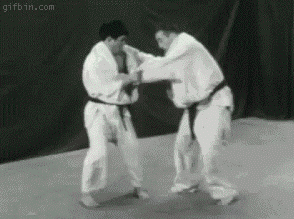 Judo - poziom umiarkowanie trudny